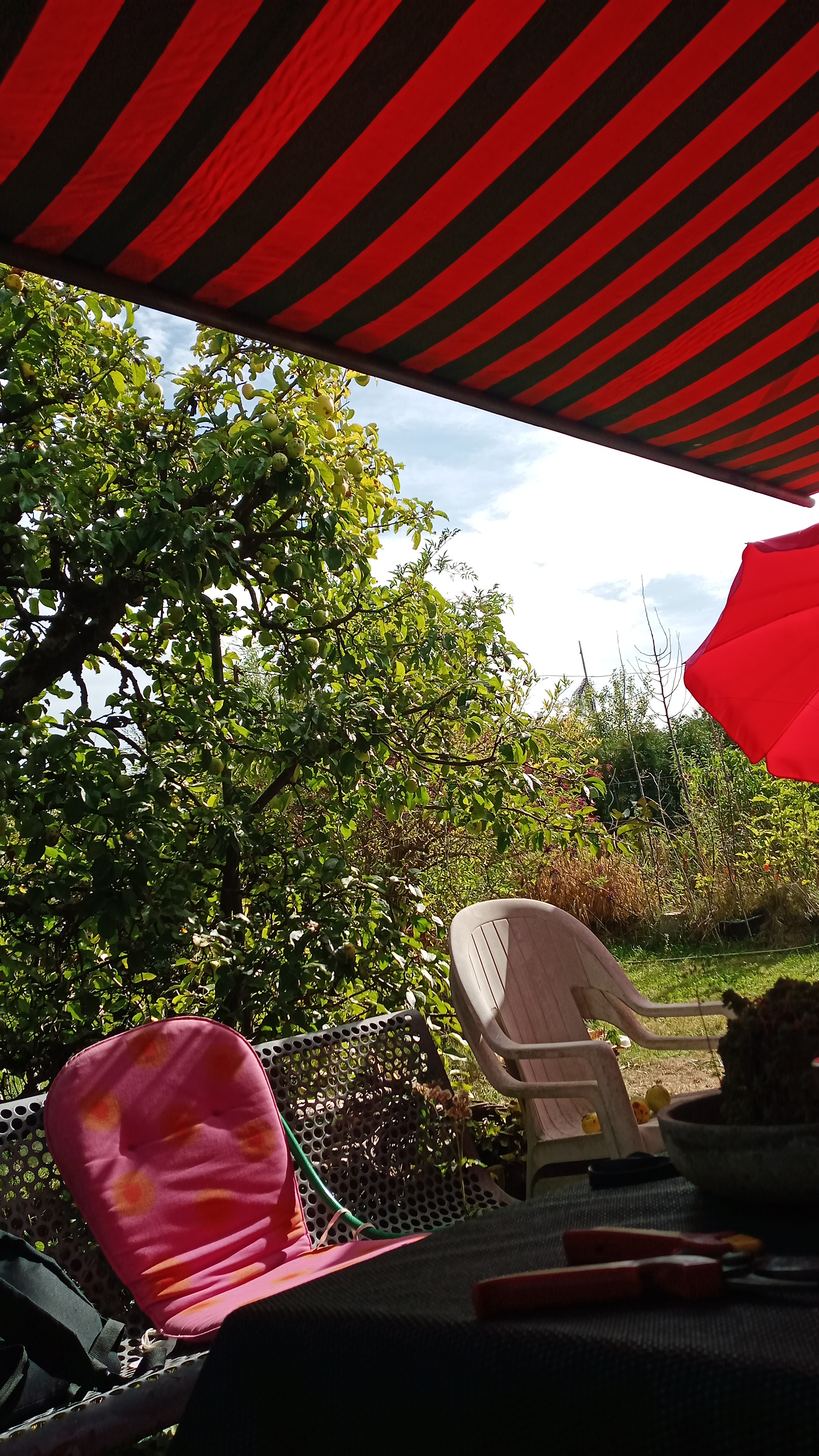 Gartenangebot