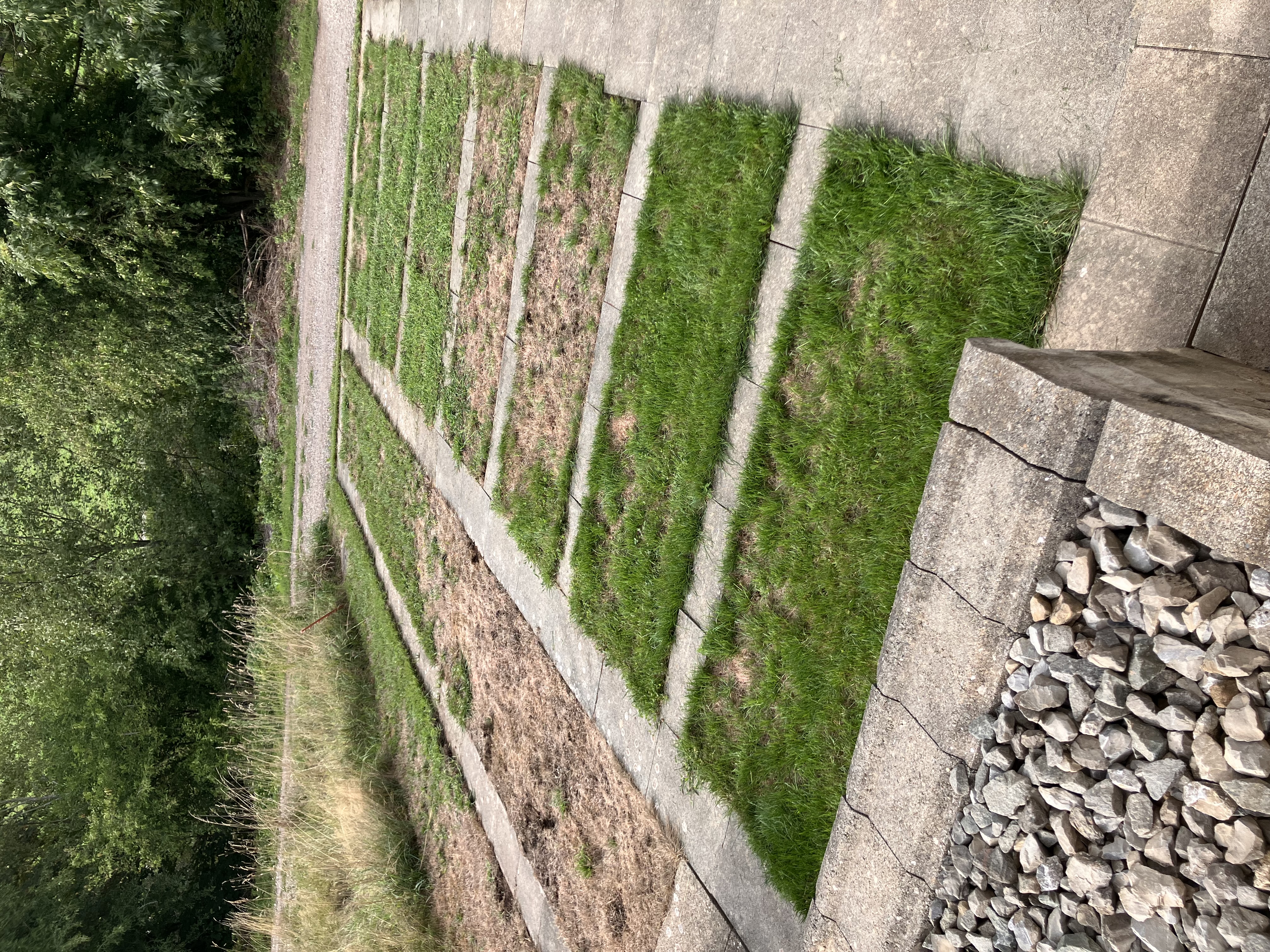 Gartenangebot