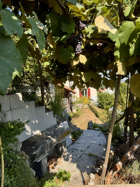 Gartenangebot